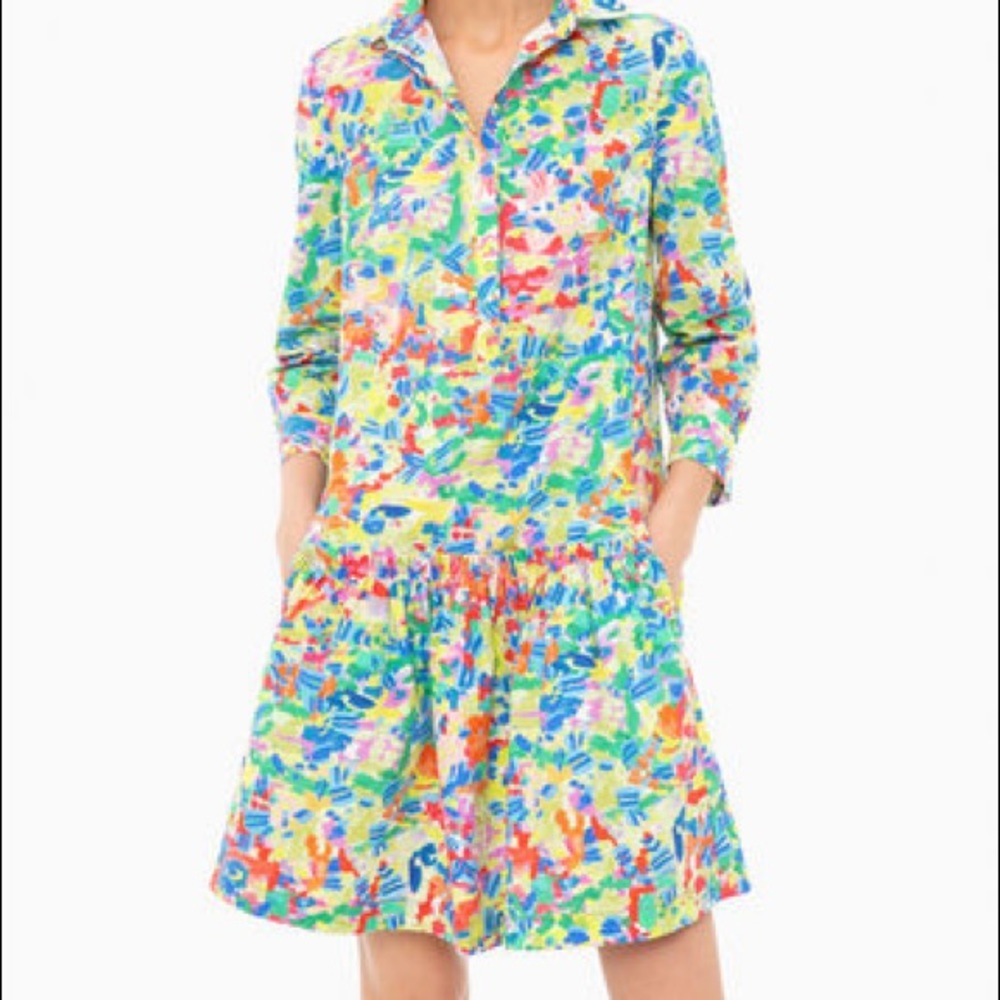 Saloni tilly shirt dress